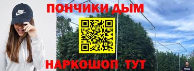 шишки Гусев